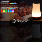13 Color Changing Night Light