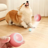 Smart Dog Toys Electric Self-moving Pet Accessories